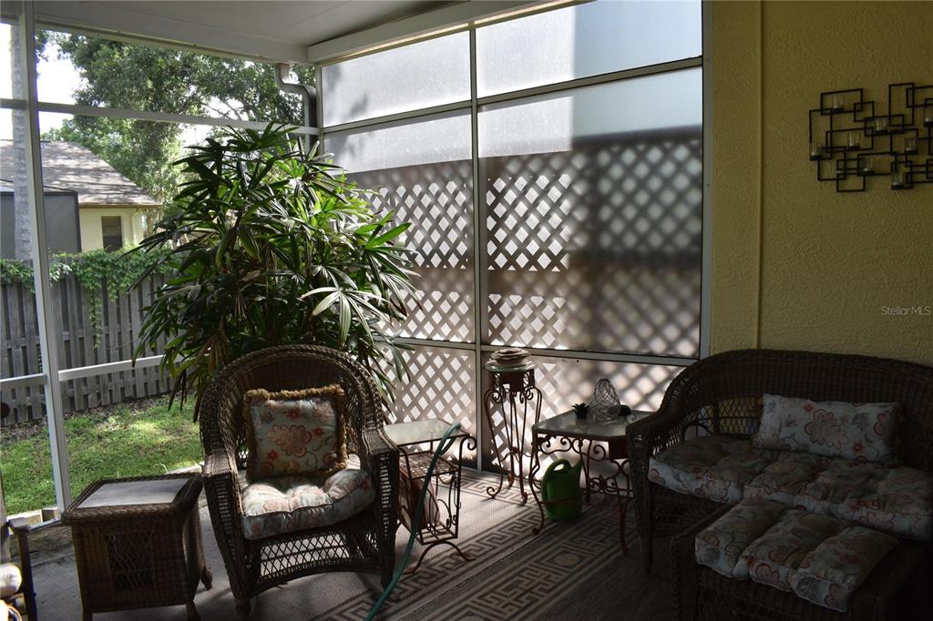 3494 Primrose Way Palm Harbor, FL 34683 - Photo 25 of 68