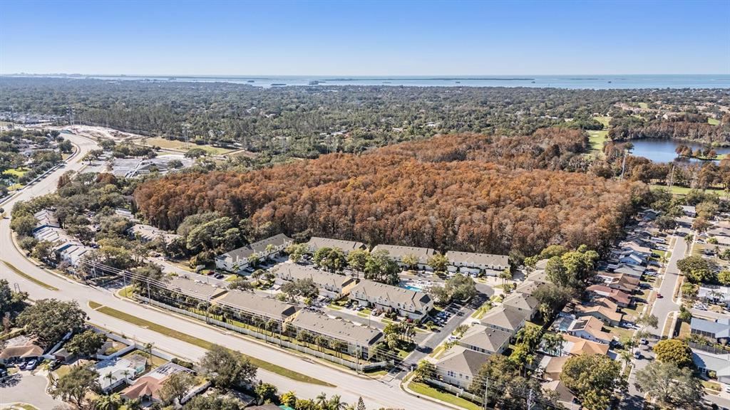 3494 Primrose Way Palm Harbor, FL 34683 - Photo 27 of 68 an aerial view of a house with a ocean
