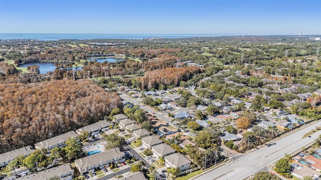 3494 Primrose Way Palm Harbor, FL 34683 - Photo 28 of 68