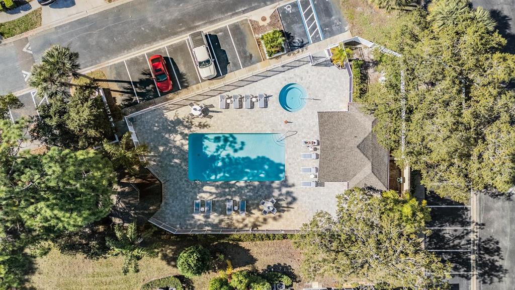 3494 Primrose Way Palm Harbor, FL 34683 - Photo 3 of 68