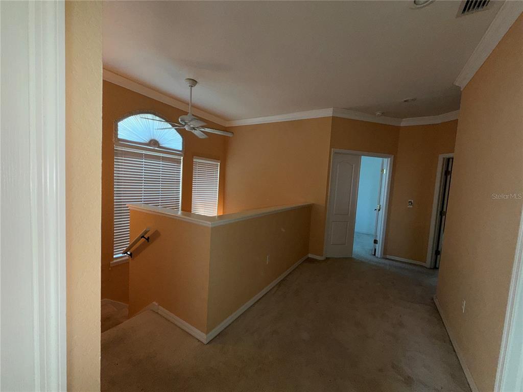 3494 Primrose Way Palm Harbor, FL 34683 - Photo 32 of 68