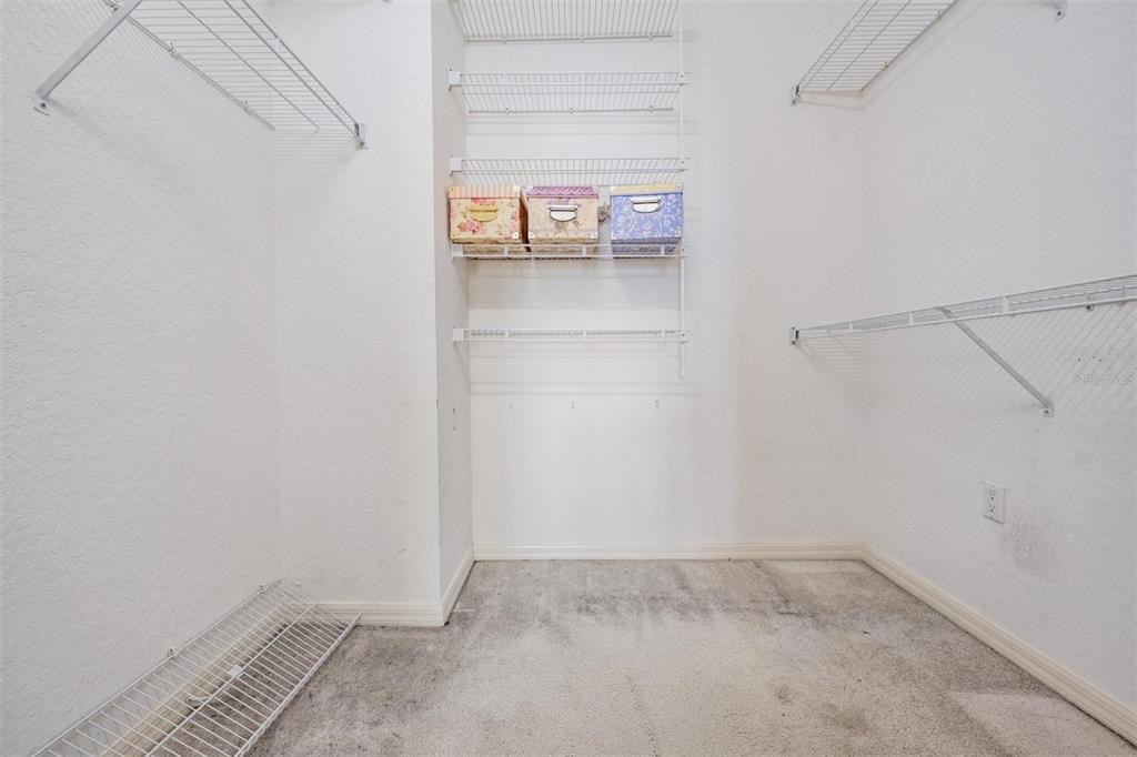 3494 Primrose Way Palm Harbor, FL 34683 - Photo 45 of 68