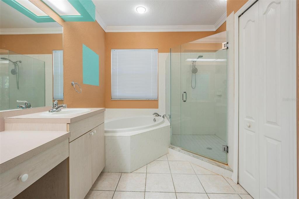 3494 Primrose Way Palm Harbor, FL 34683 - Photo 49 of 68 a bathroom with a bathtub shower sink vanity and mirror