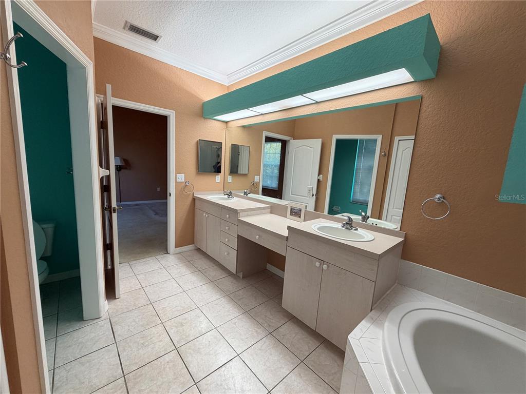 3494 Primrose Way Palm Harbor, FL 34683 - Photo 51 of 68 a bathroom with a sink a toilet and mirror