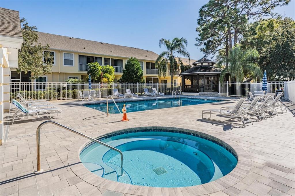 3494 Primrose Way Palm Harbor, FL 34683 - Photo 57 of 68