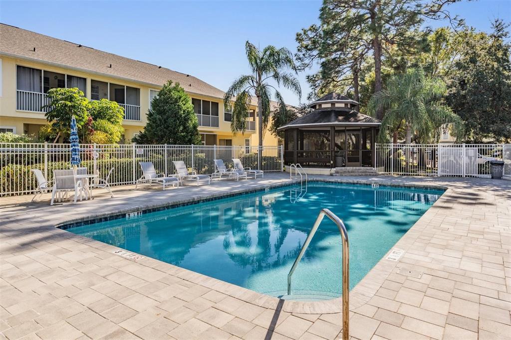 3494 Primrose Way Palm Harbor, FL 34683 - Photo 58 of 68 a swimming pool with outdoor seating and yard