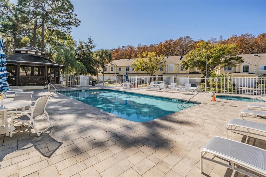 3494 Primrose Way Palm Harbor, FL 34683 - Photo 59 of 68 a view of a backyard with sitting area