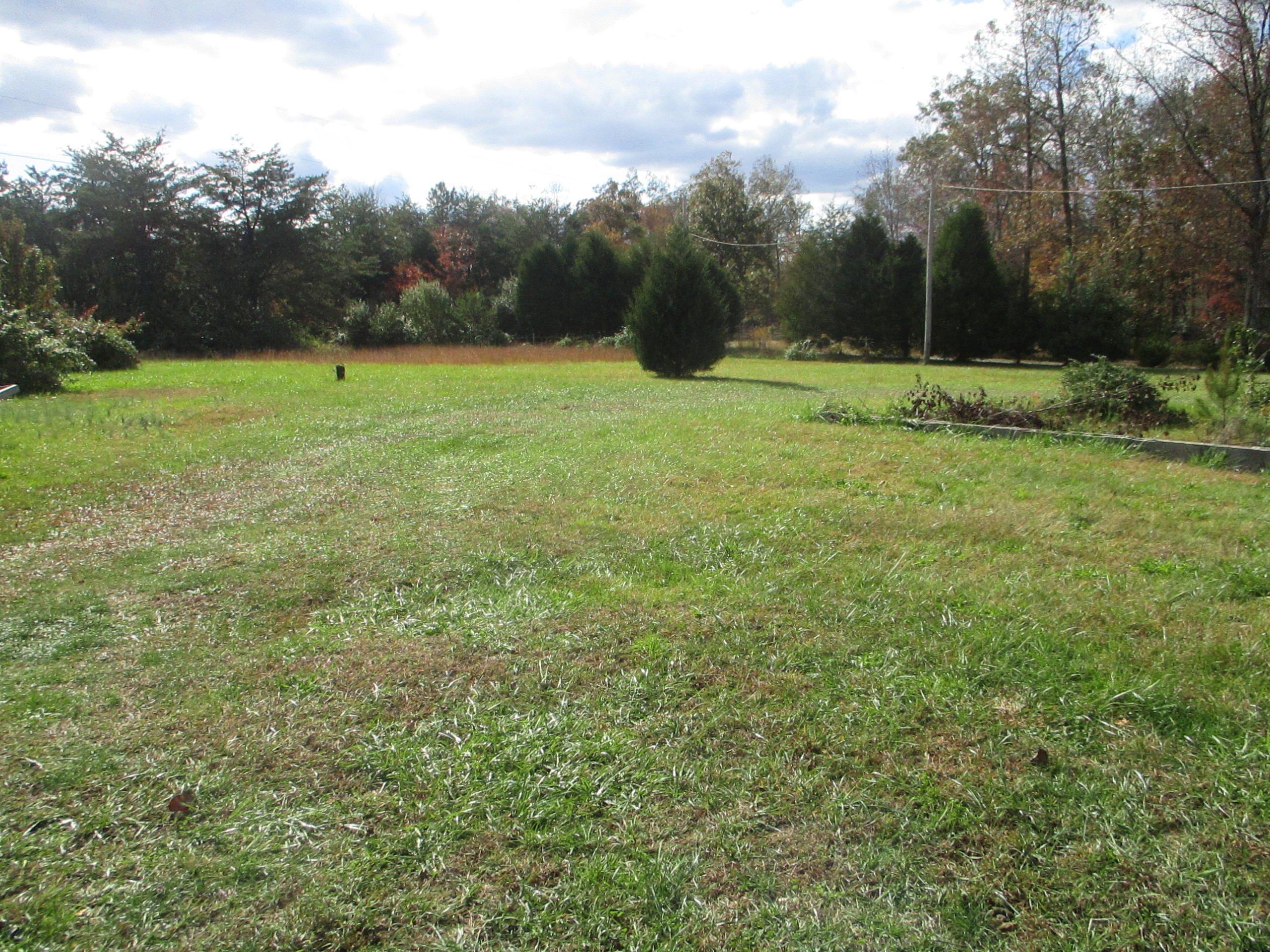 115 Gibson Road Lancing, TN 37770 - Photo 4 of 14 Front Yard