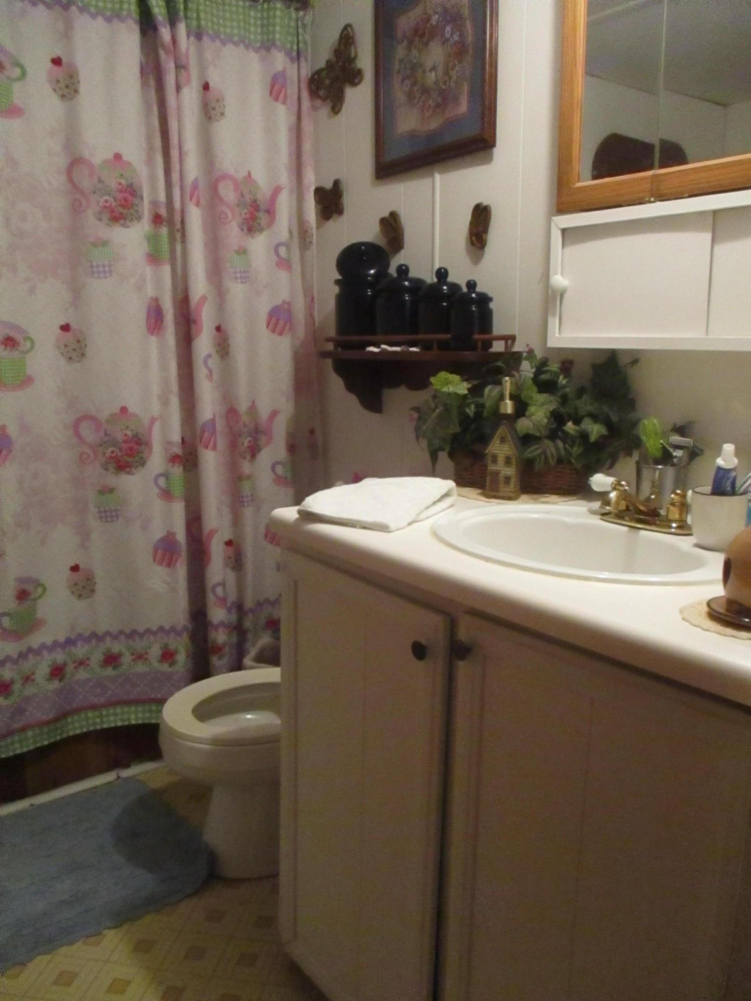 115 Gibson Road Lancing, TN 37770 - Photo 8 of 14 Bathroom