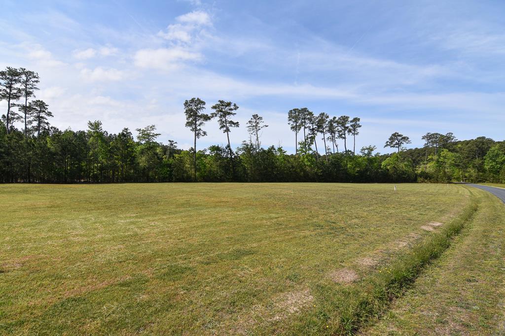 Lot 1-2 Barn Woods Road, Unit 1 & 2 Onancock, VA 23417 - Photo 2 of 10