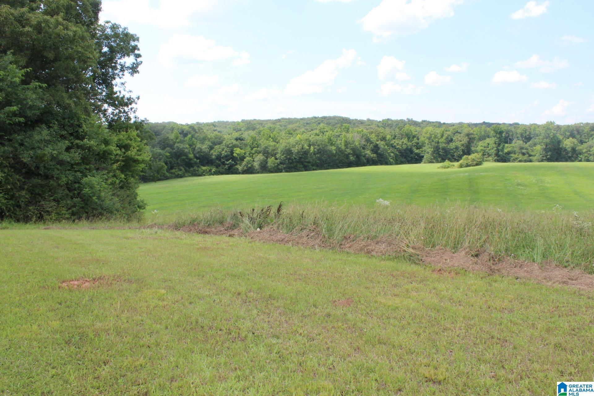 2865 Jenifer Road Munford, AL 36268 - Photo 46 of 47