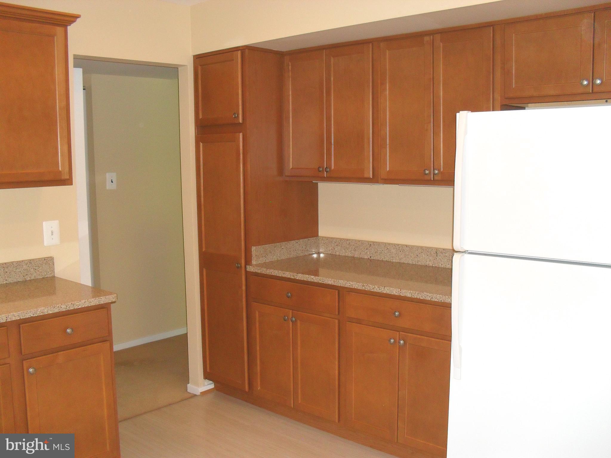 1659 Parkcrest Circle, Unit C Reston, VA 20190 - Photo 8 of 17 recently renovated with wood cabinets, Silestone t