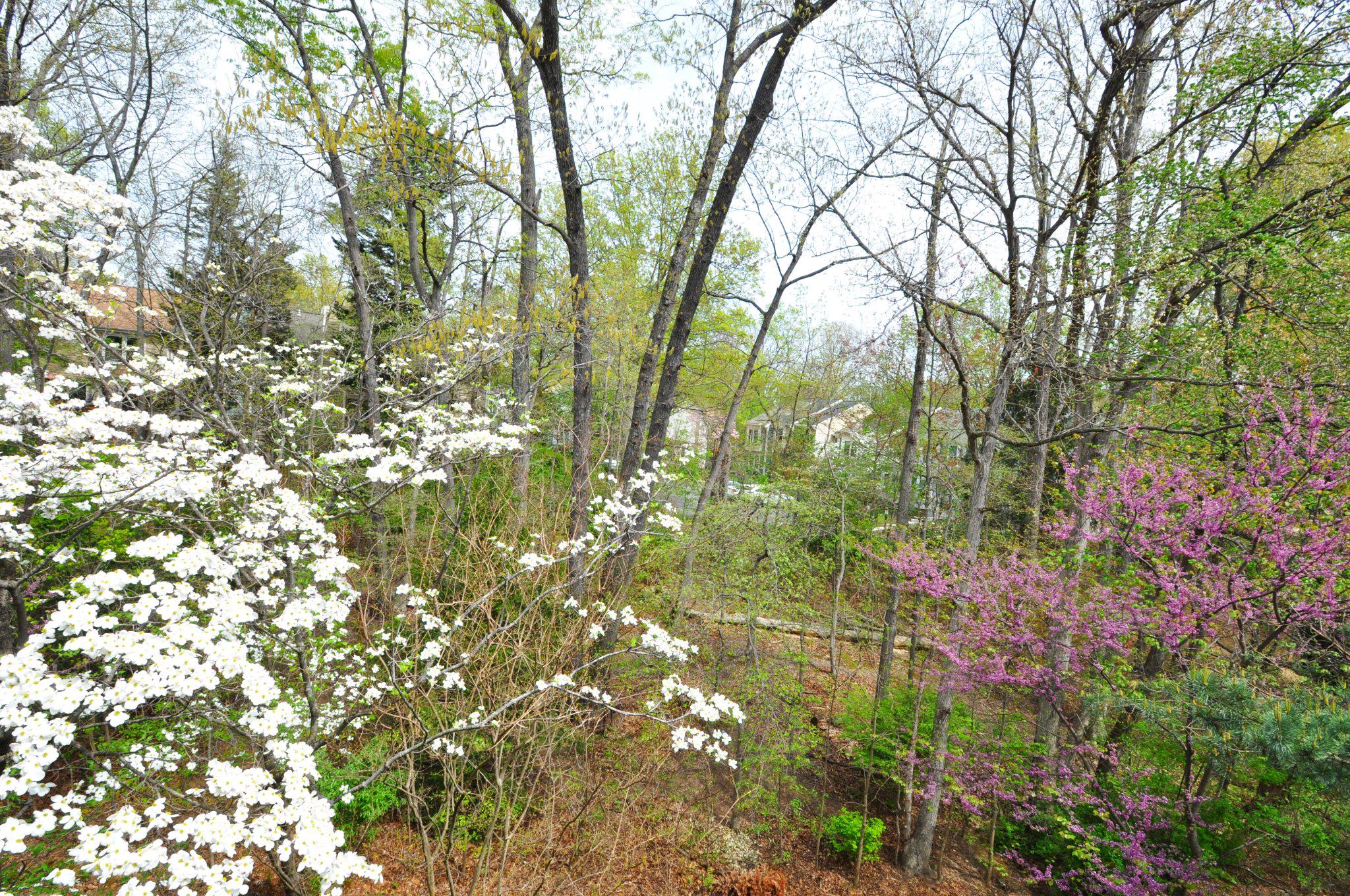 1659 Parkcrest Circle, Unit C Reston, VA 20190 - Photo 8 of 31 a backyard of a house with lots of green space and garden