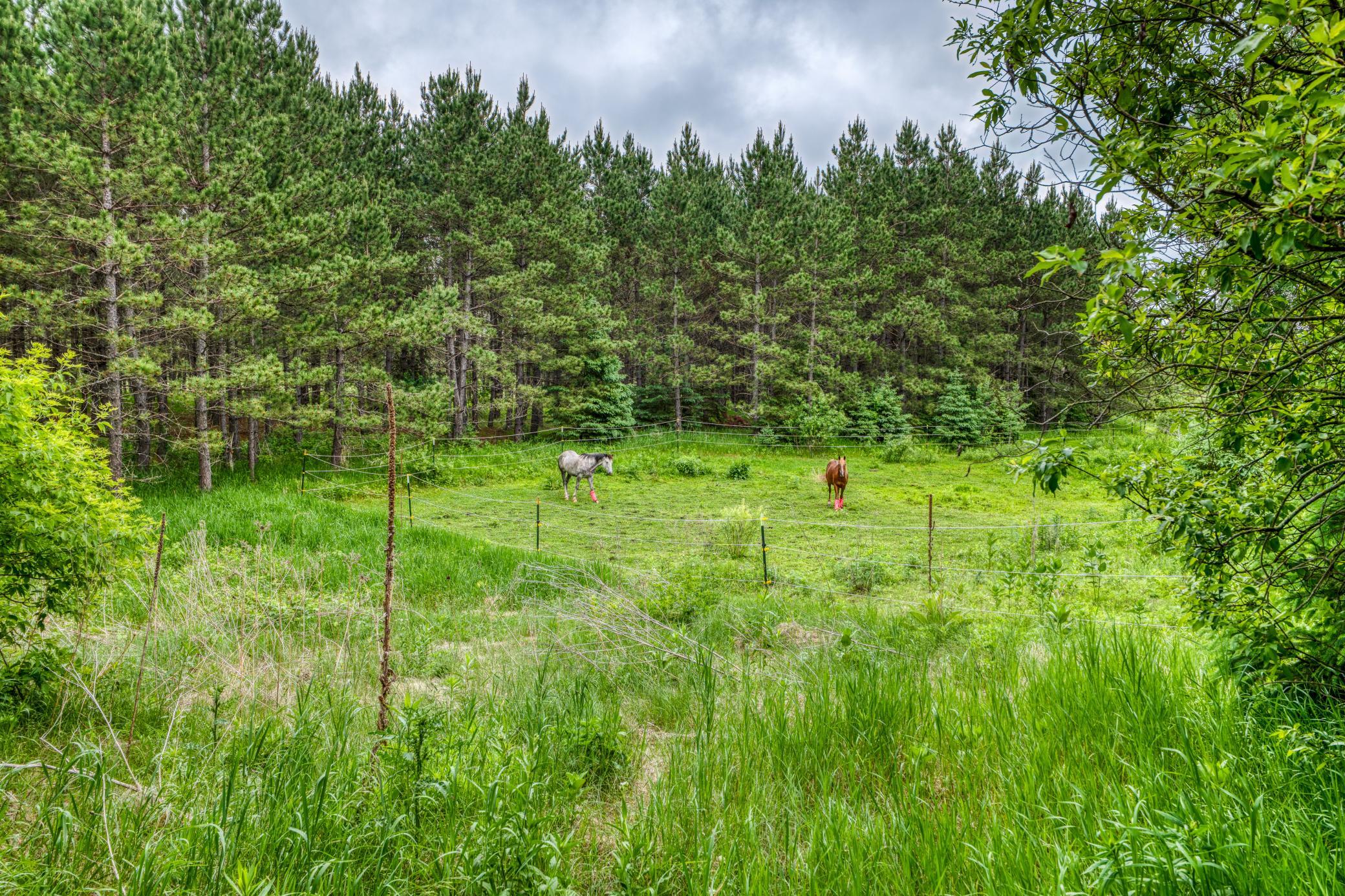 24058 County 2 Shevlin, MN 56676 - Photo 60 of 90