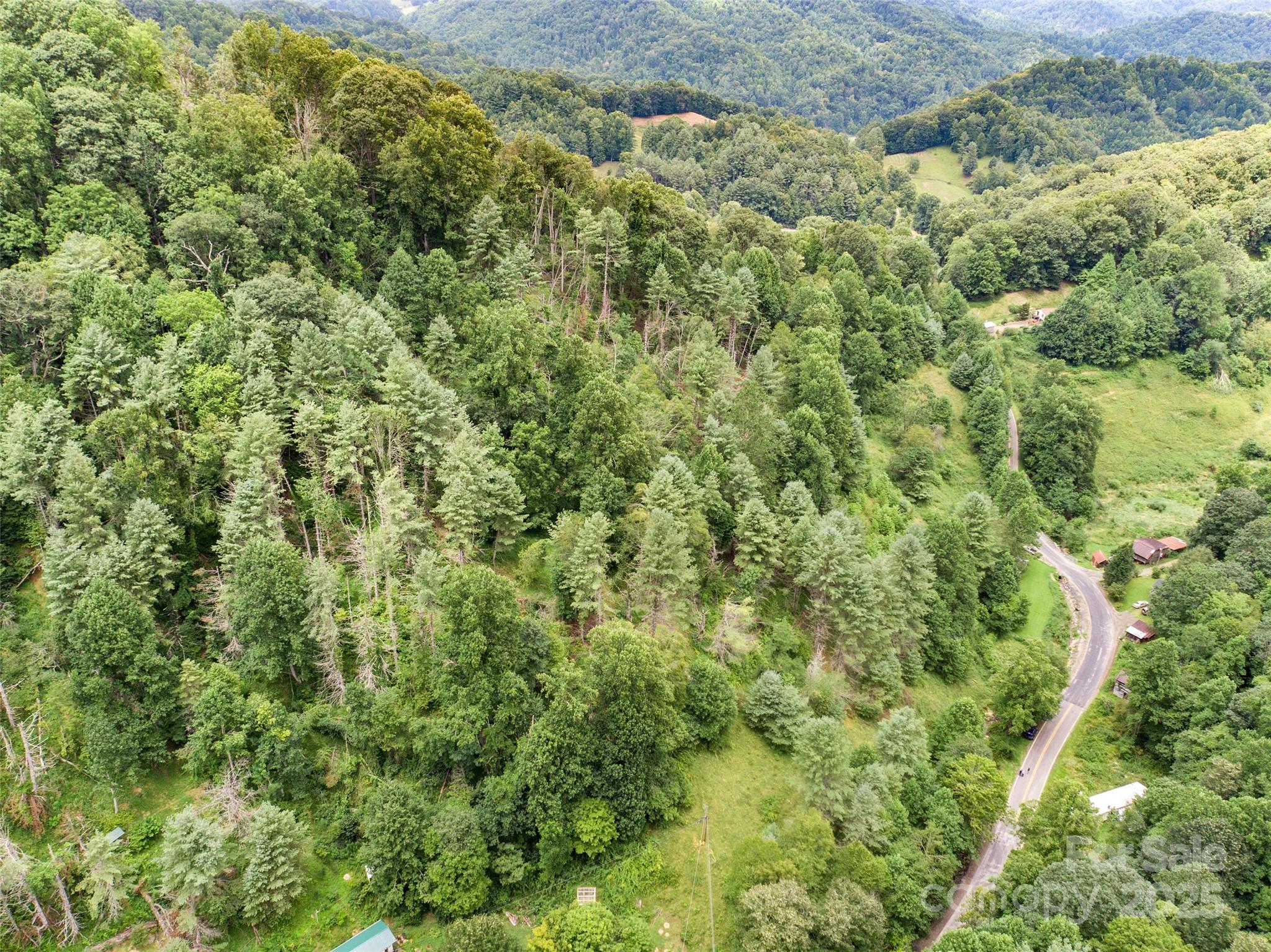 0 Bee Log Road Burnsville, NC 28714 - Photo 4 of 9 a view of a big yard with plants and large trees