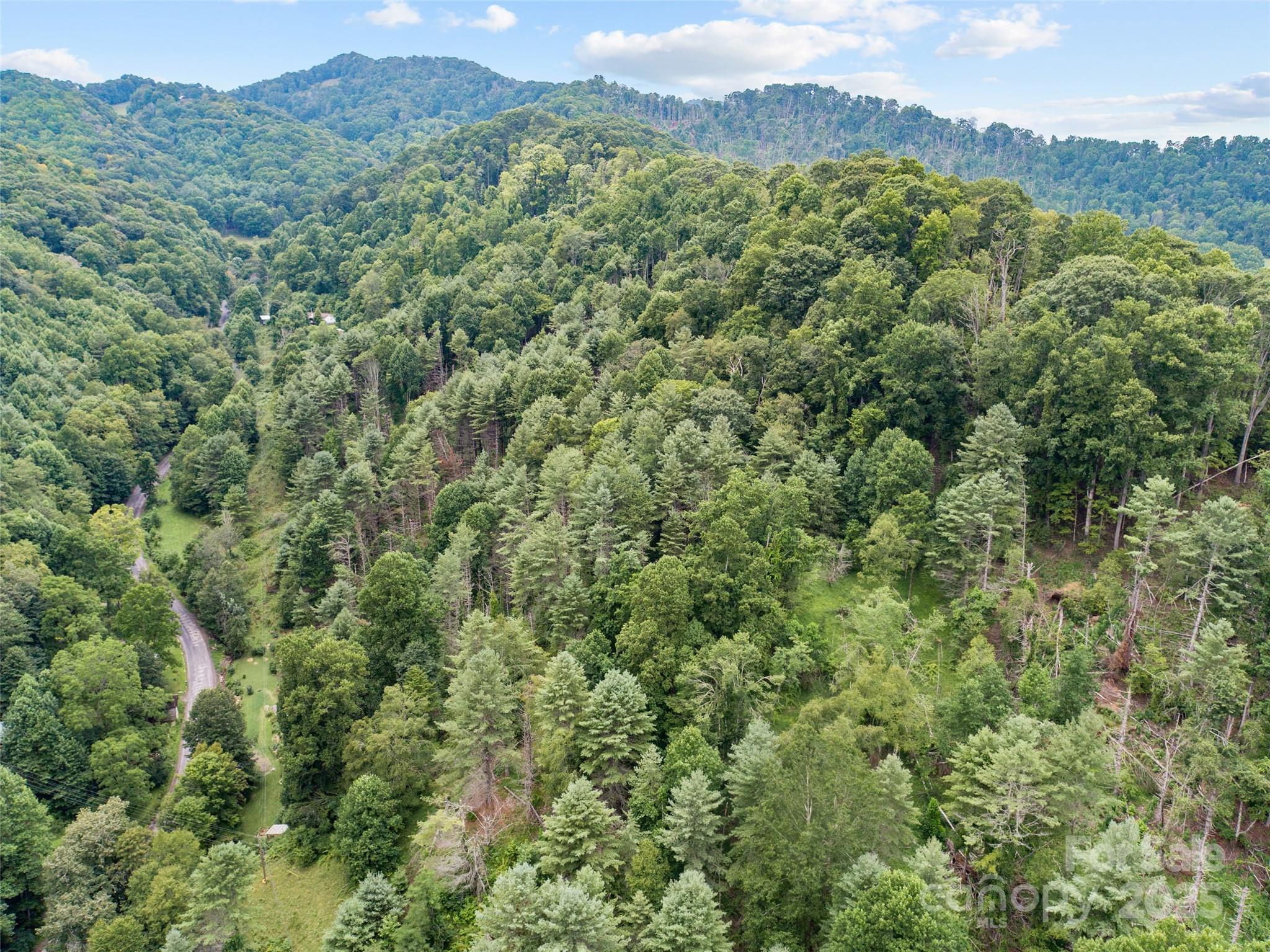 0 Bee Log Road Burnsville, NC 28714 - Photo 6 of 9 a view of a forest with a mountain