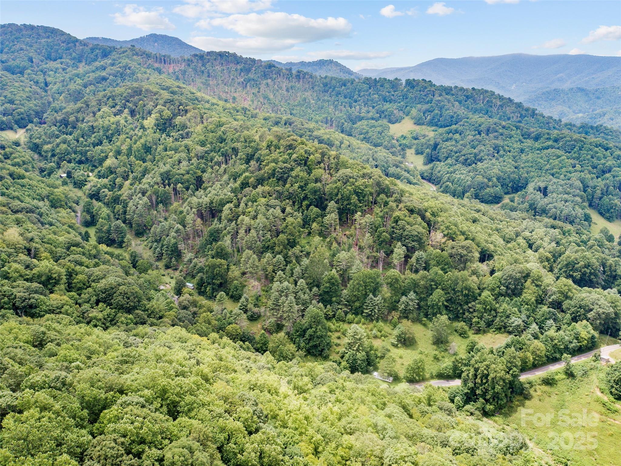 0 Bee Log Road Burnsville, NC 28714 - Photo 9 of 9 a view of a lush green forest with lush green forest
