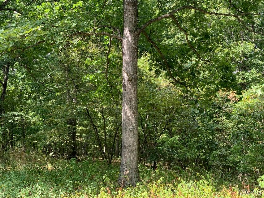 Tbd Branch Road Fulton, MO 65251 - Photo 6 of 10