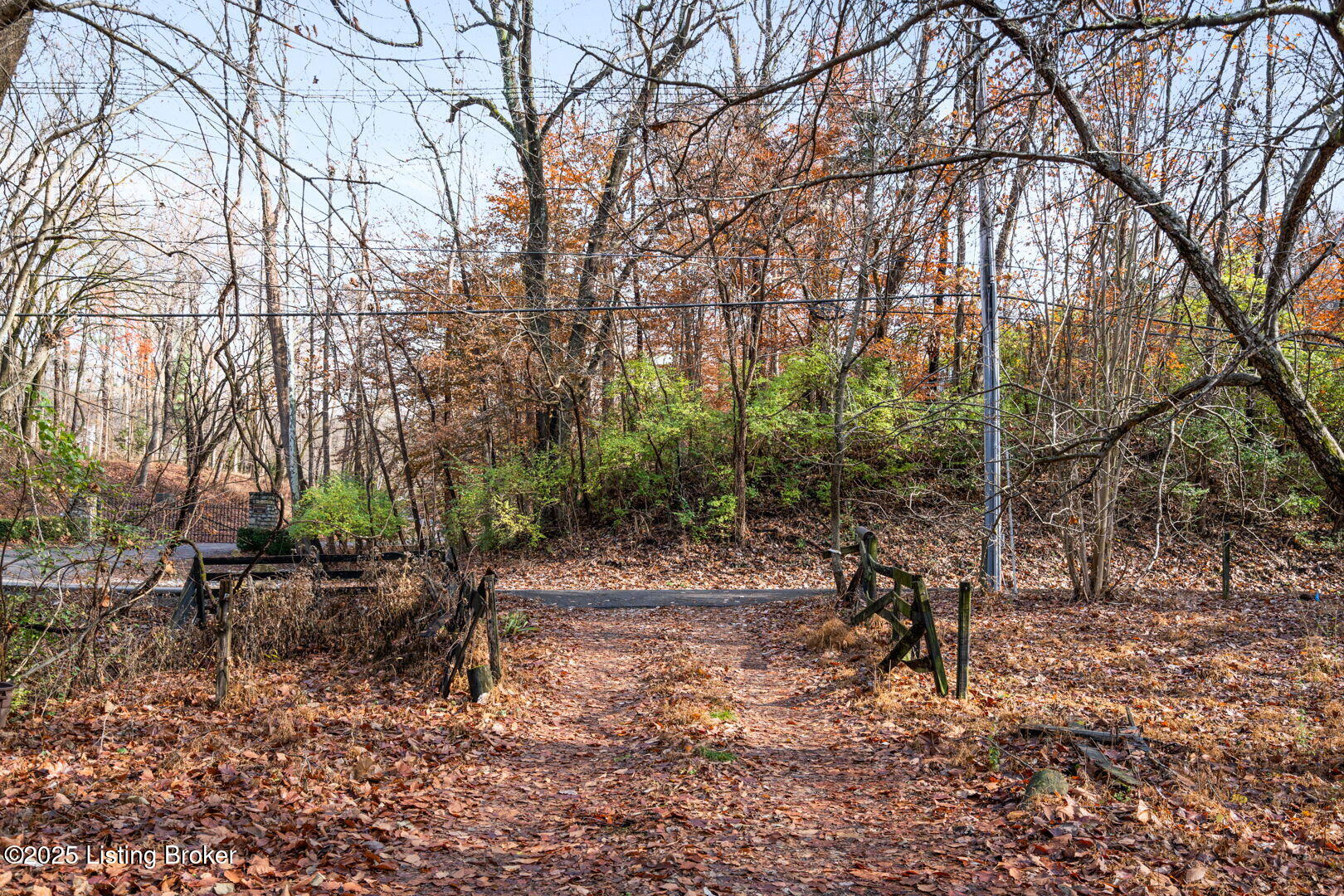 View from property toward Rose Island Rd
