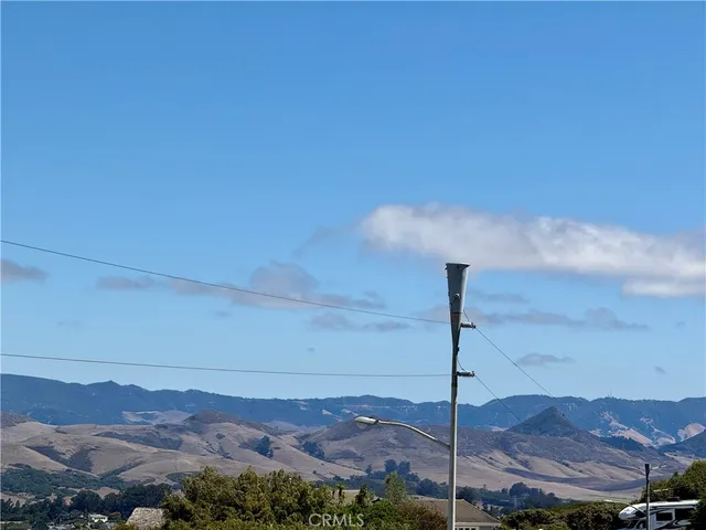 a view of a bunch of trees and bushes