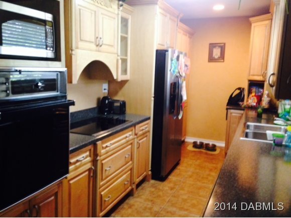 862 Pineapple Road South Daytona, FL 32119 - Photo 5 of 19 Additional Photo