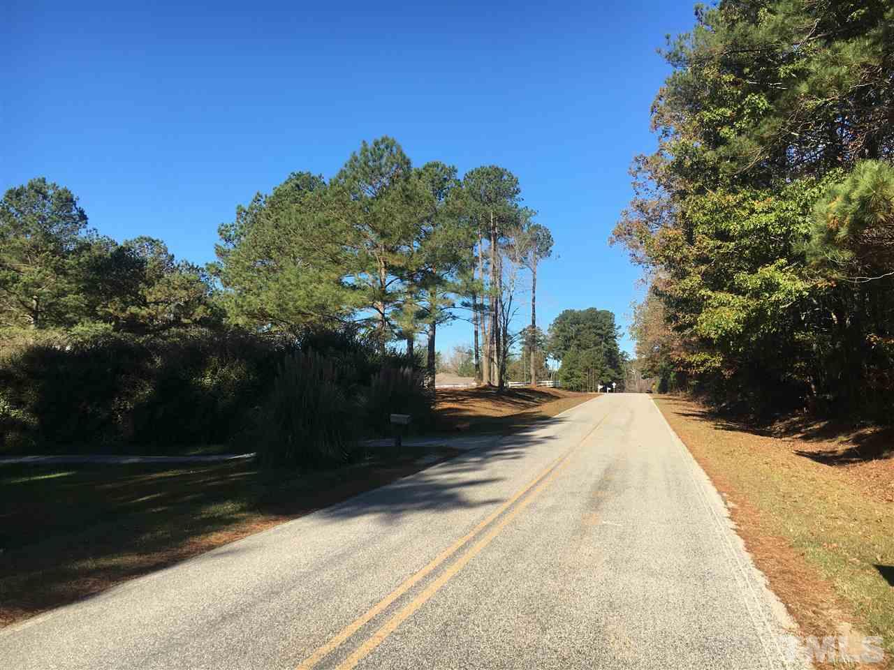 0 Spring Hill Road Spring Hope, NC 27882 - Photo 3 of 10