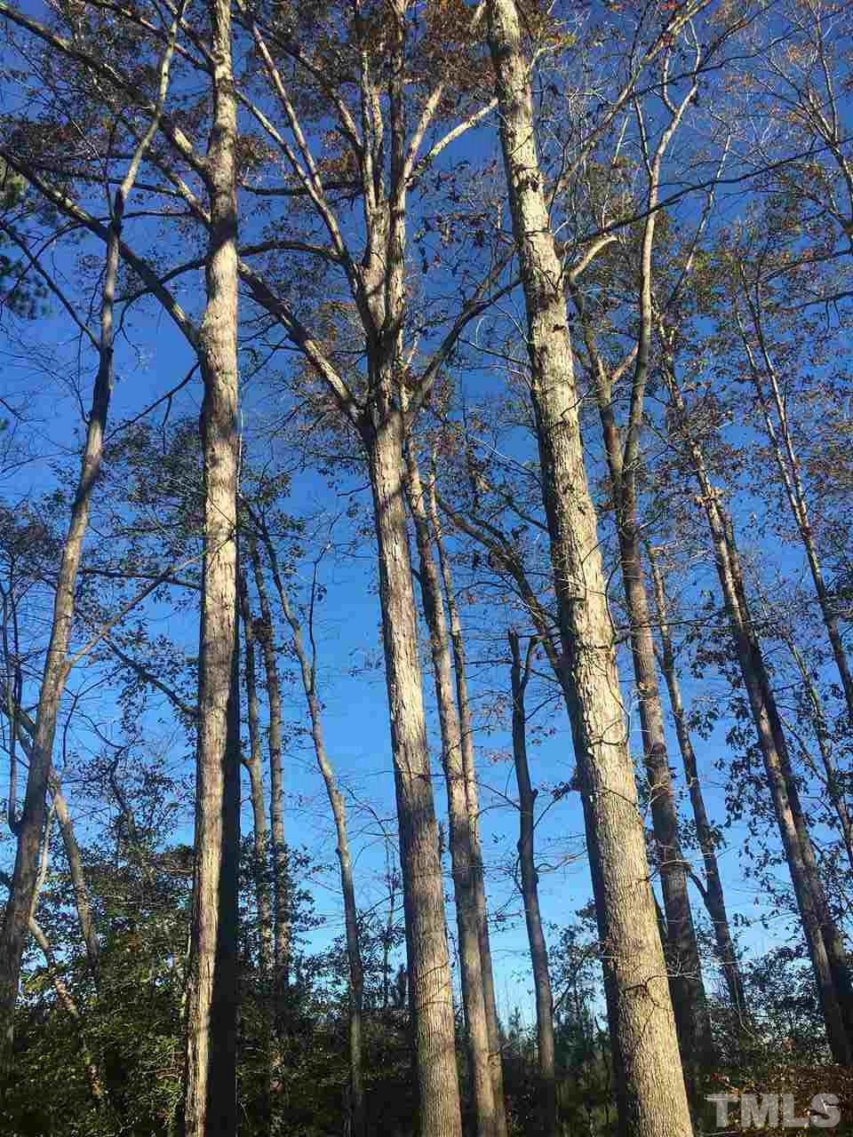 0 Spring Hill Road Spring Hope, NC 27882 - Photo 5 of 10