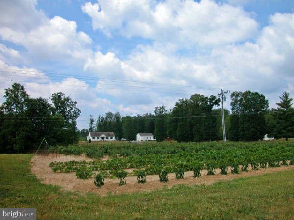 20442 Sparta Road Milford, VA 22514 - Photo 19 of 20 View
