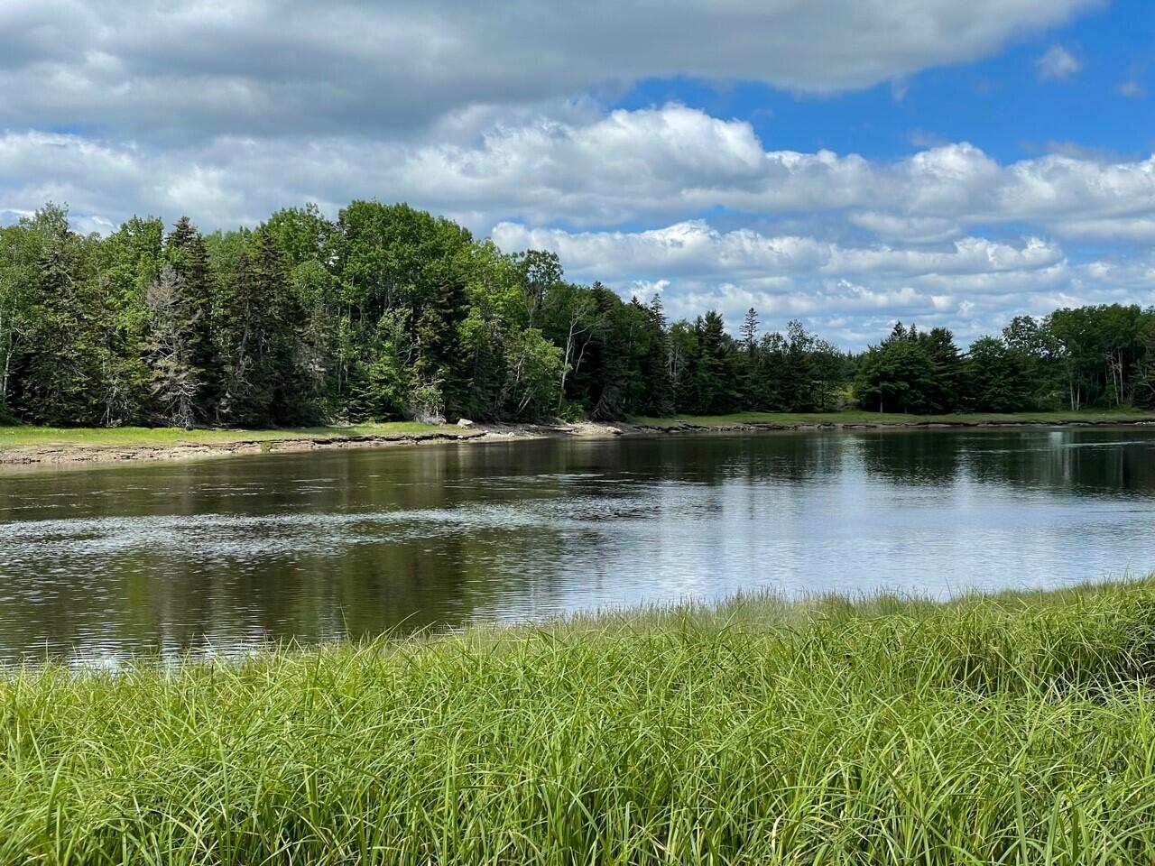Lot #118 Kansas Road Milbridge, ME 04658 - Photo 5 of 8 Marshy frontage