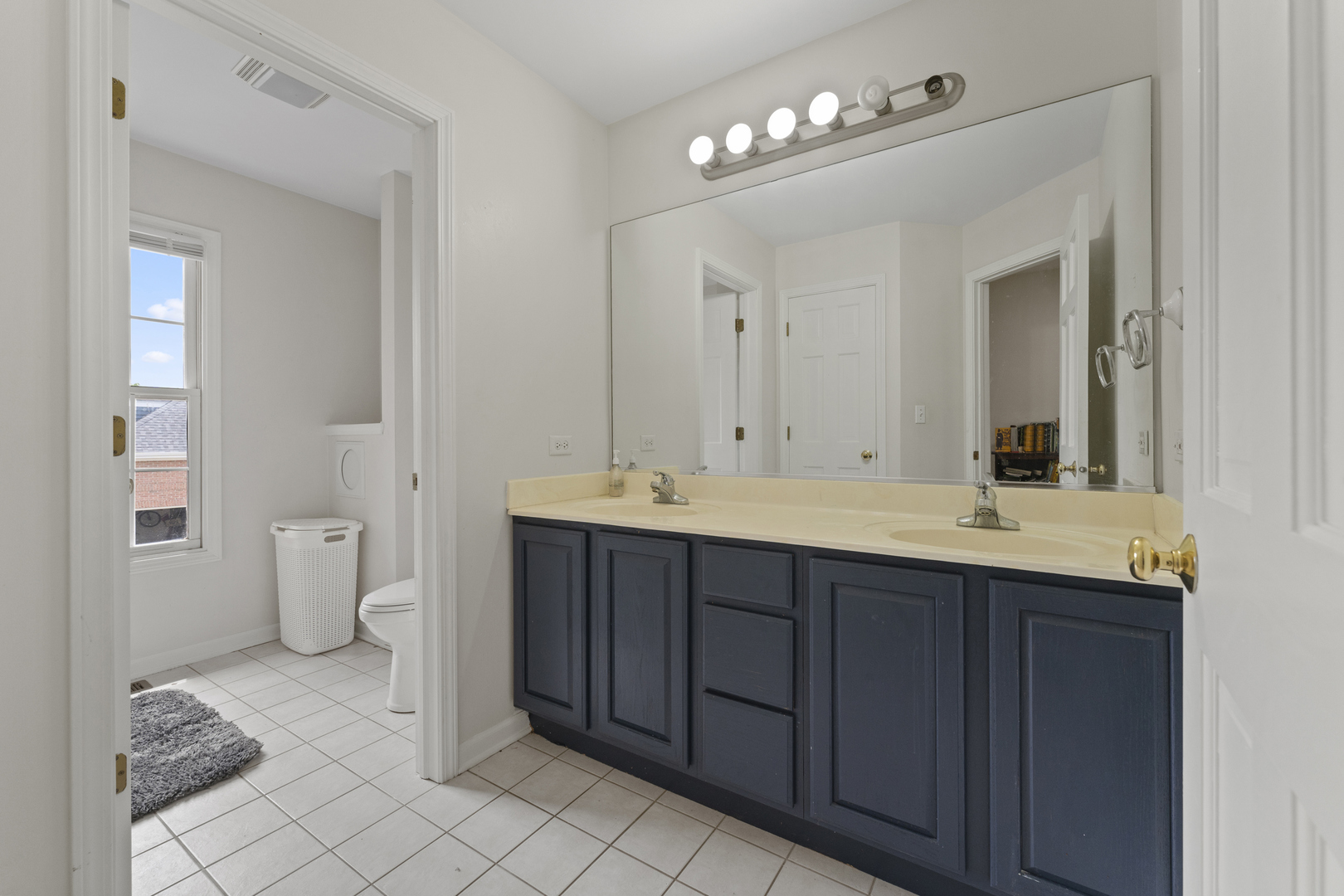 4308 Royal Windyne Court St. Charles, IL 60174 - Photo 31 of 47 a bathroom with a double vanity sink mirror and toilet