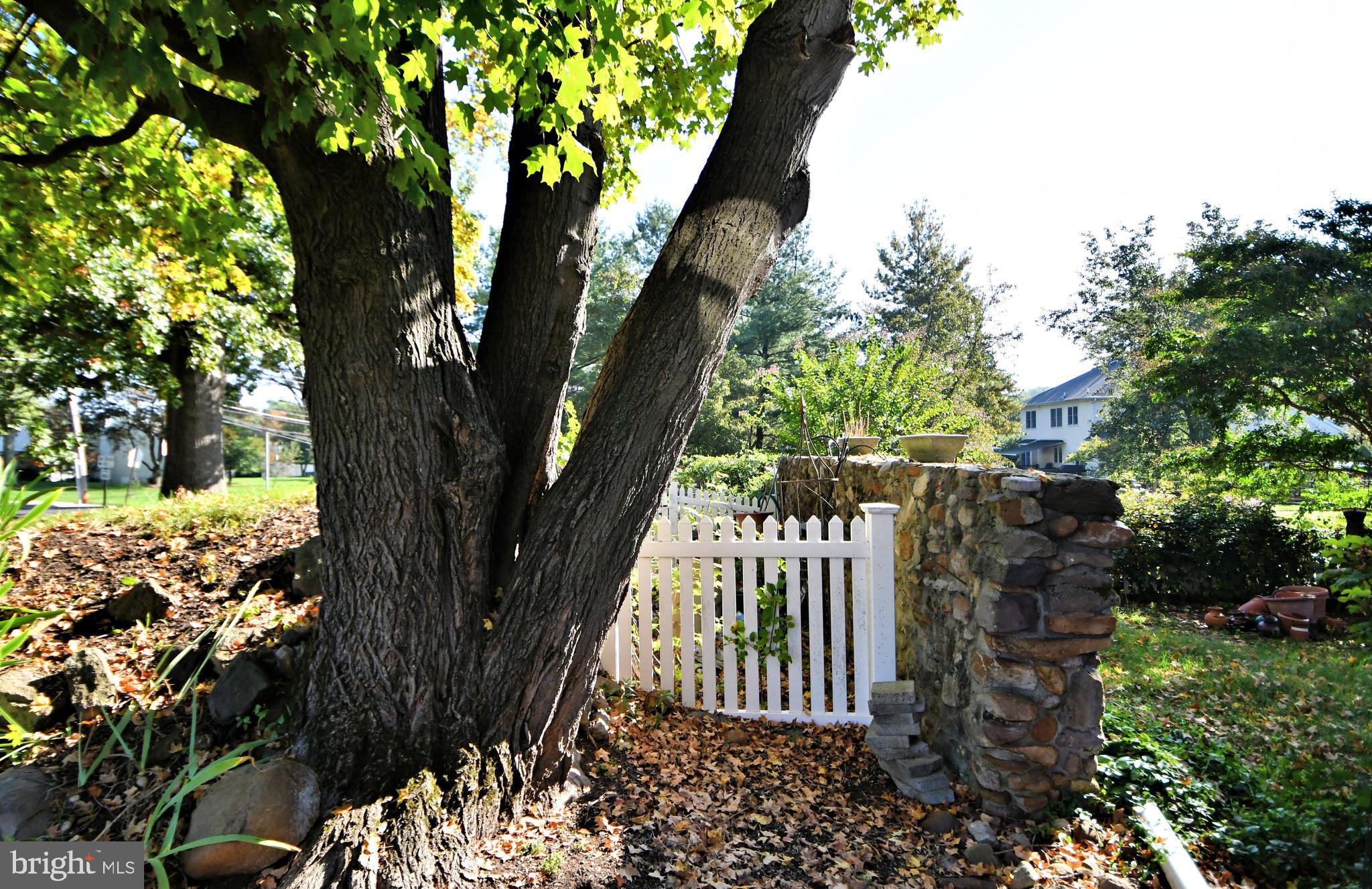 967 Edgewood Road Yardley, PA 19067 - Photo 41 of 62 Gallery Image 41