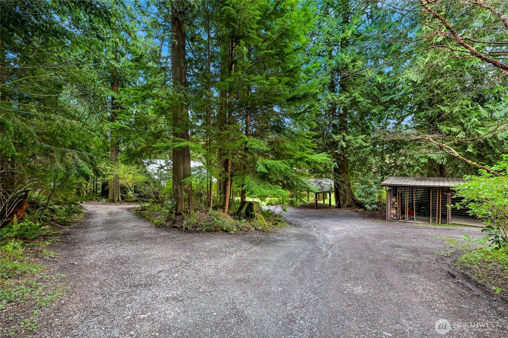 498 Summerland Road Bellingham, WA 98229 - Photo 35 of 40 a view of a house with large trees and plants