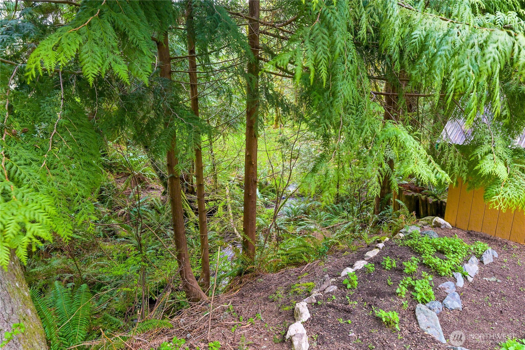 498 Summerland Road Bellingham, WA 98229 - Photo 38 of 40 a view of yard