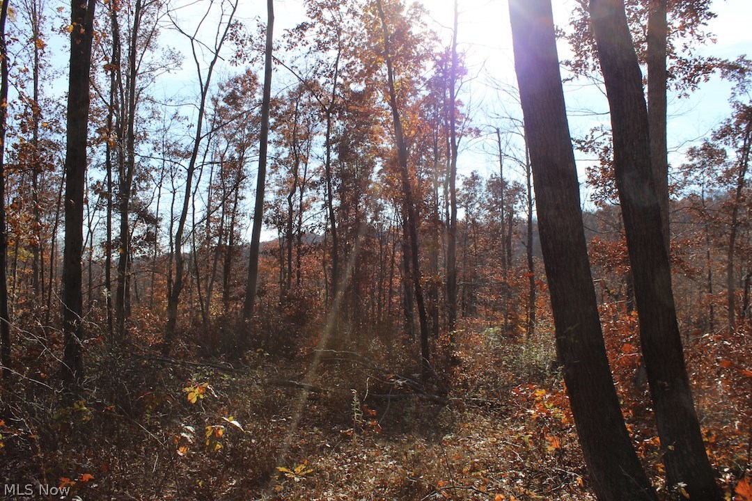 Ford Rd Mount Mount Perry, OH 43760 - Photo 27 of 35
