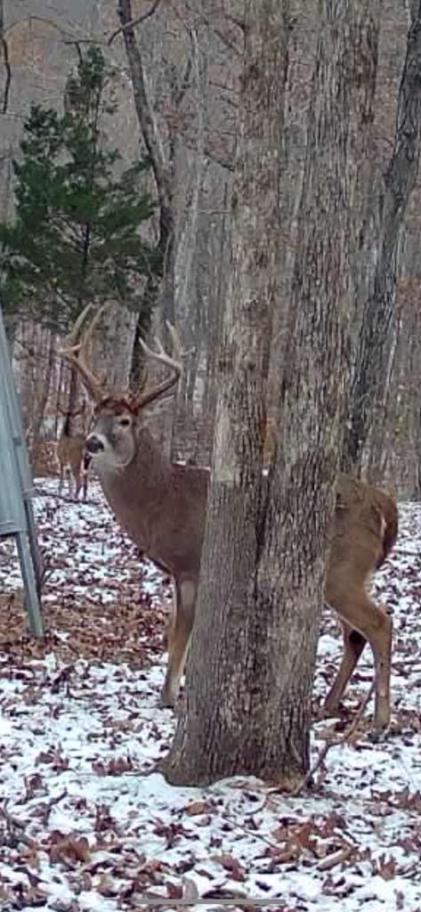 0 Brinkley Store Road Crofton, KY 42217 - Photo 18 of 18 Gallery Image 18