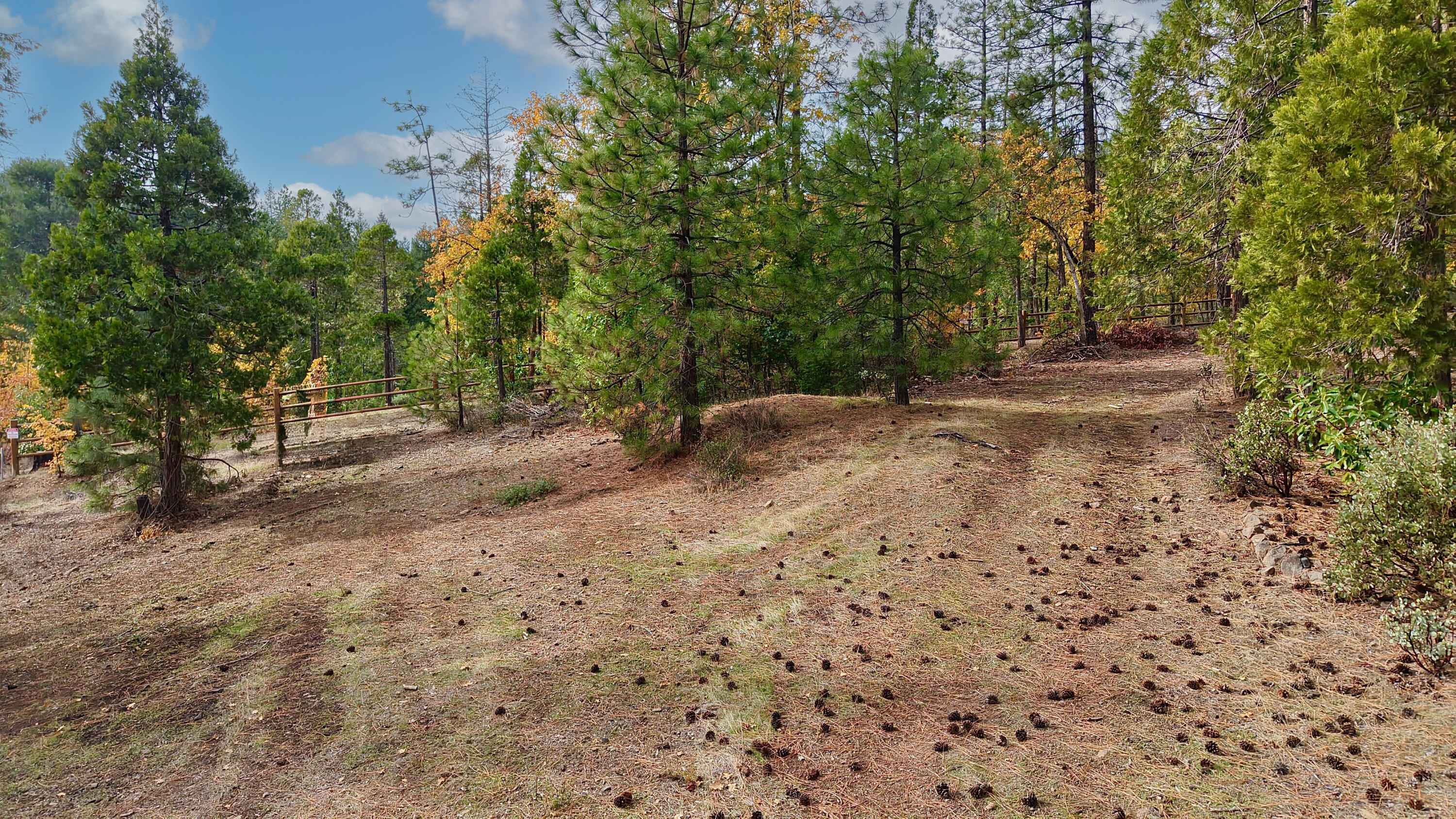 121 Horse Ranch Road Prospect, OR 97536 - Photo 14 of 21 Property