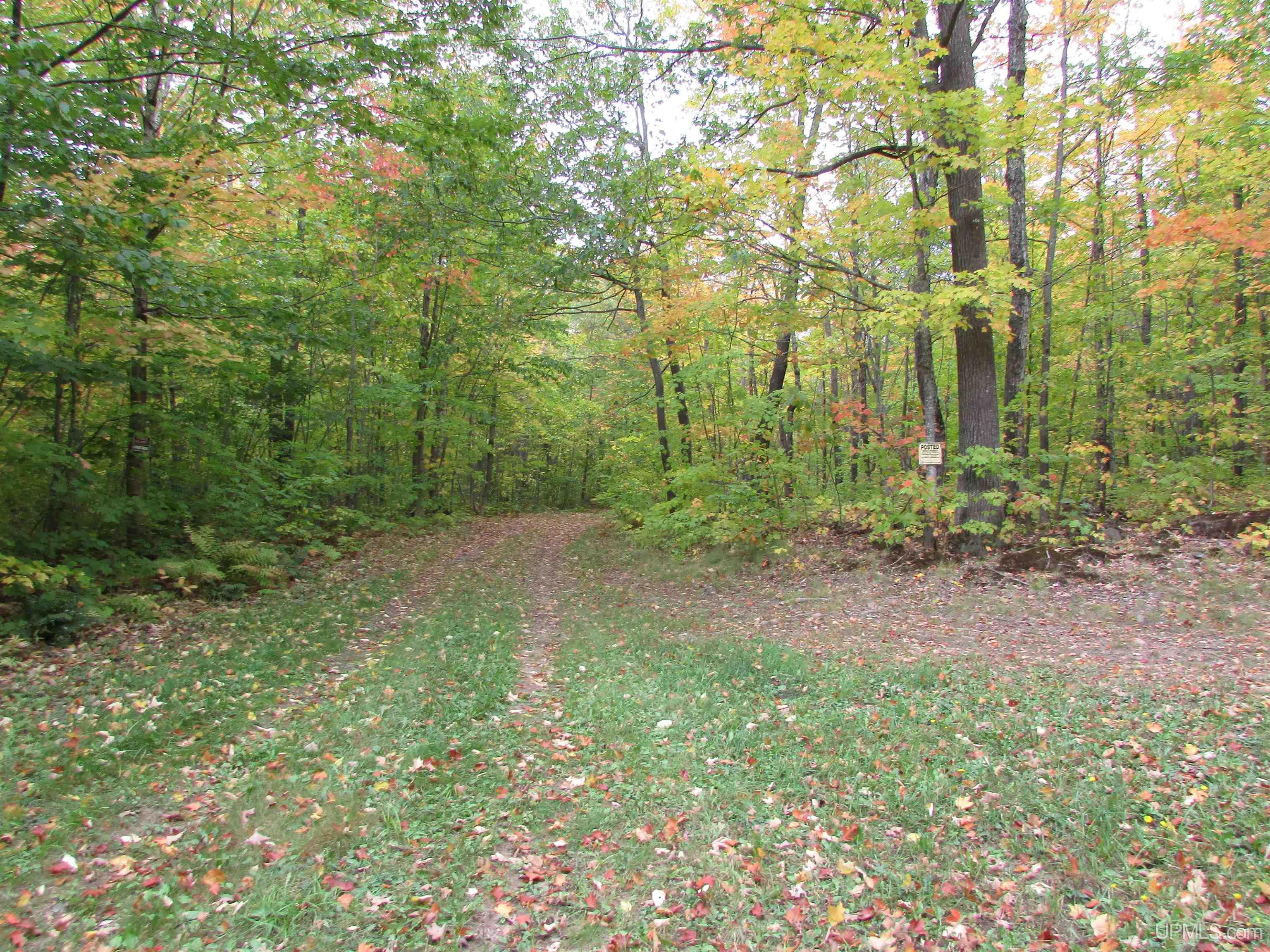 Tbd Donken Road Toivola, MI 49965 - Photo 11 of 11 Gallery Image 11