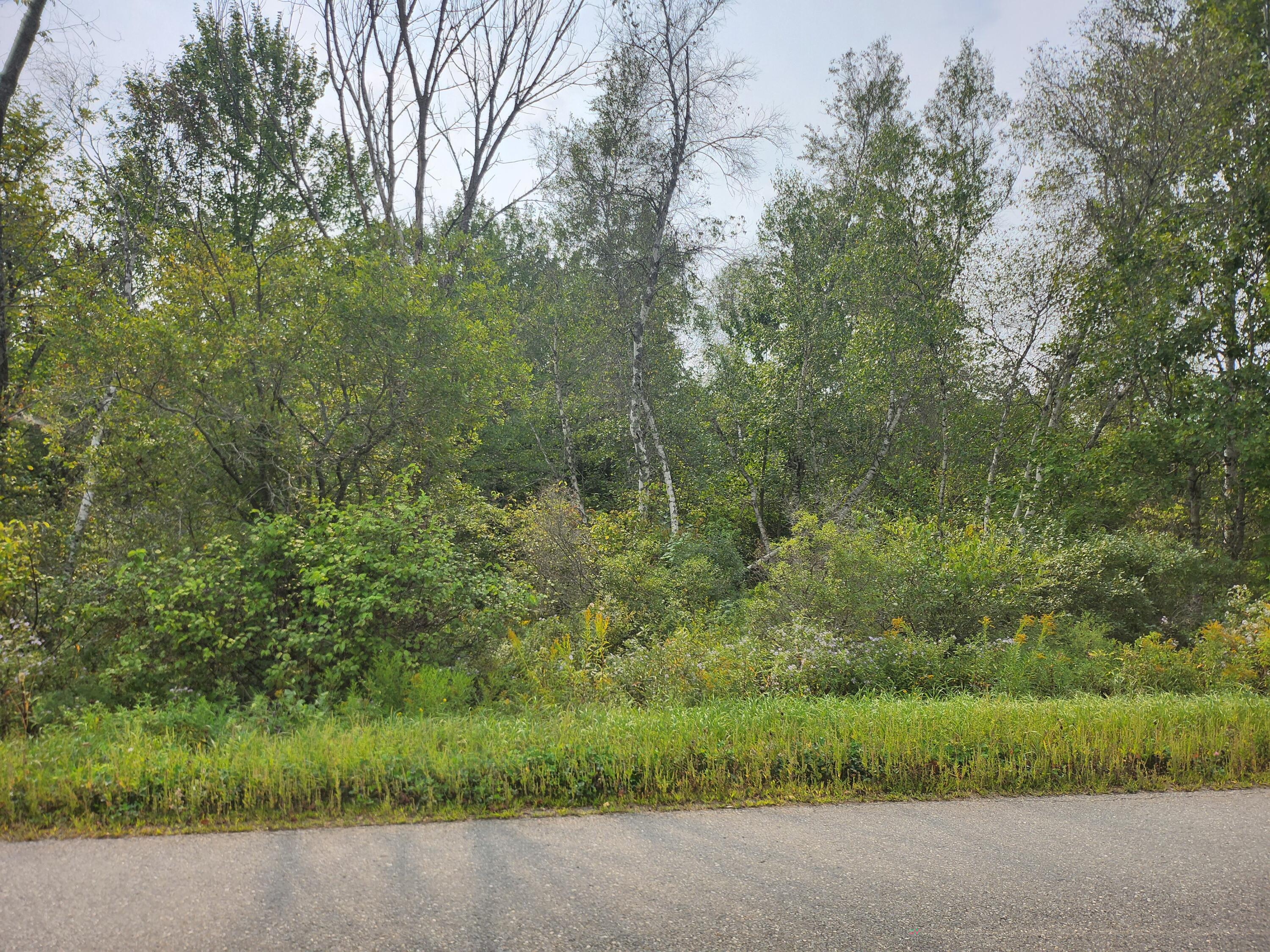 Lot 15 Old County Road Etna, ME 04434 - Photo 4 of 6 20250906_114305