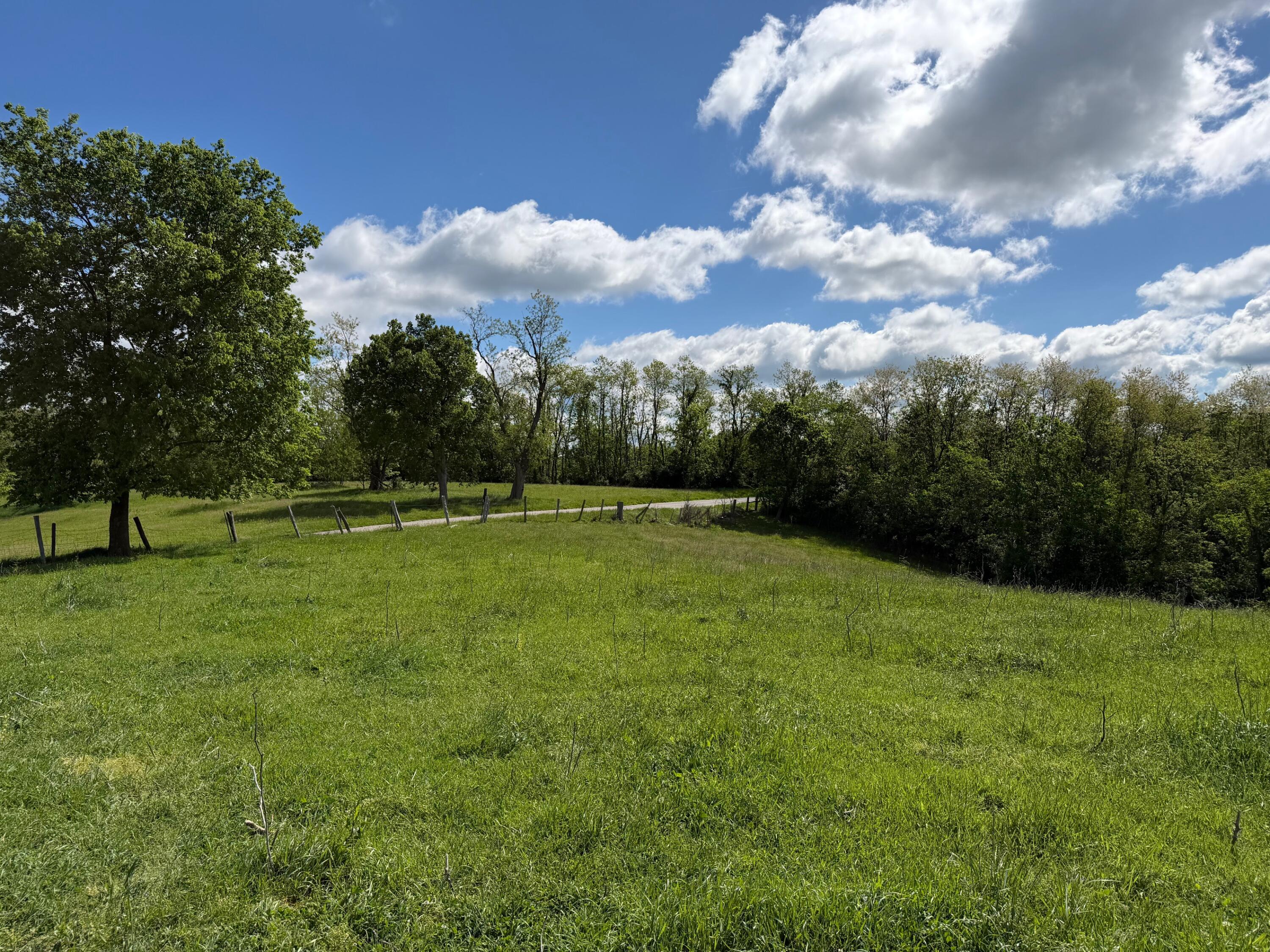 24.81-ac Chipman Ridge Road Williamstown, KY 41097 - Photo 2 of 17