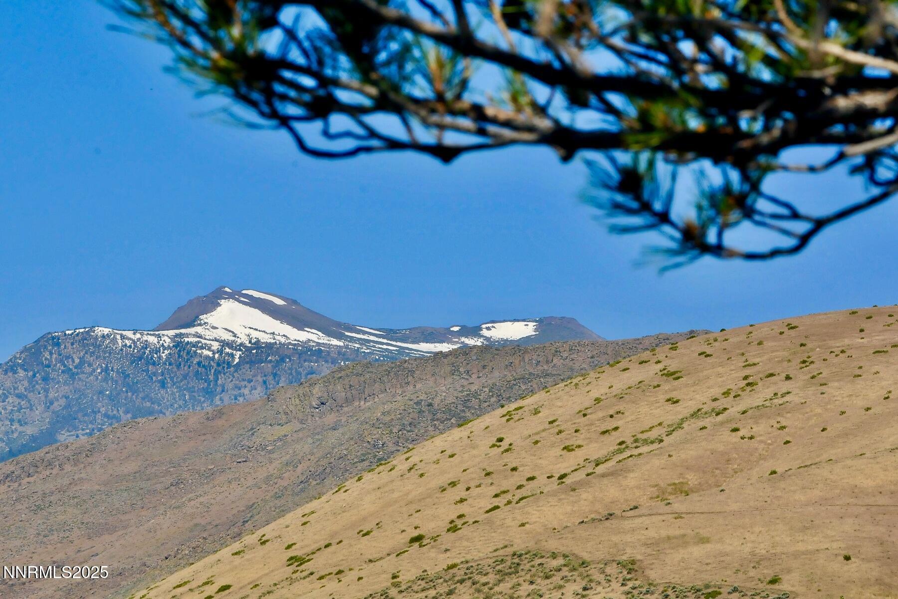 95 Hidden Lake Drive Reno, NV 89521 - Photo 30 of 43 a view of a dry yard with wooden fence