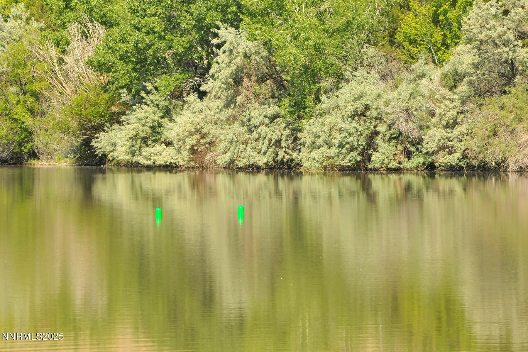 95 Hidden Lake Drive Reno, NV 89521 - Photo 31 of 43 a view of a lake view