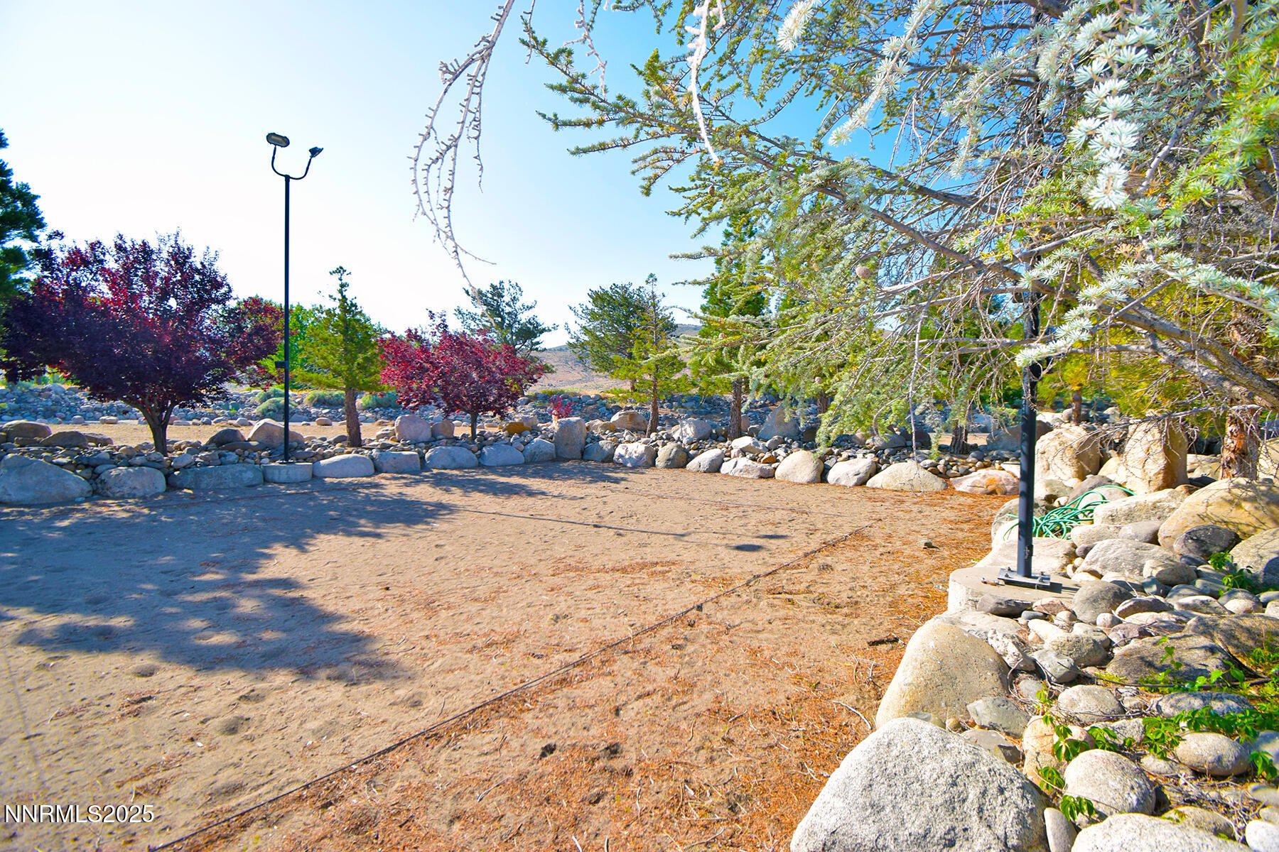 95 Hidden Lake Drive Reno, NV 89521 - Photo 35 of 43 a view of yard with tree