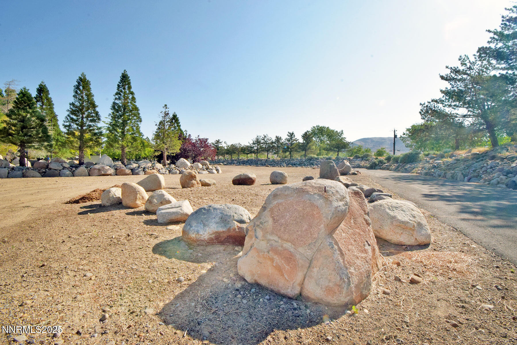 95 Hidden Lake Drive Reno, NV 89521 - Photo 6 of 43 a view of a backyard with furniture and trees