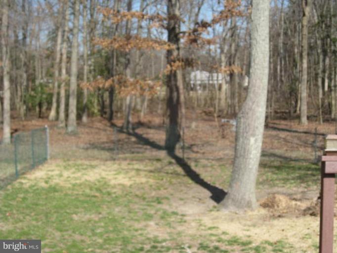 210 Old Magothy Bridge Road Pasadena, MD 21122 - Photo 2 of 21 Back yard view