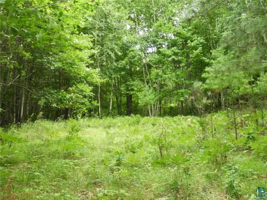 0 Phantom Lake Road Iron River, WI 54847 - Photo 3 of 5