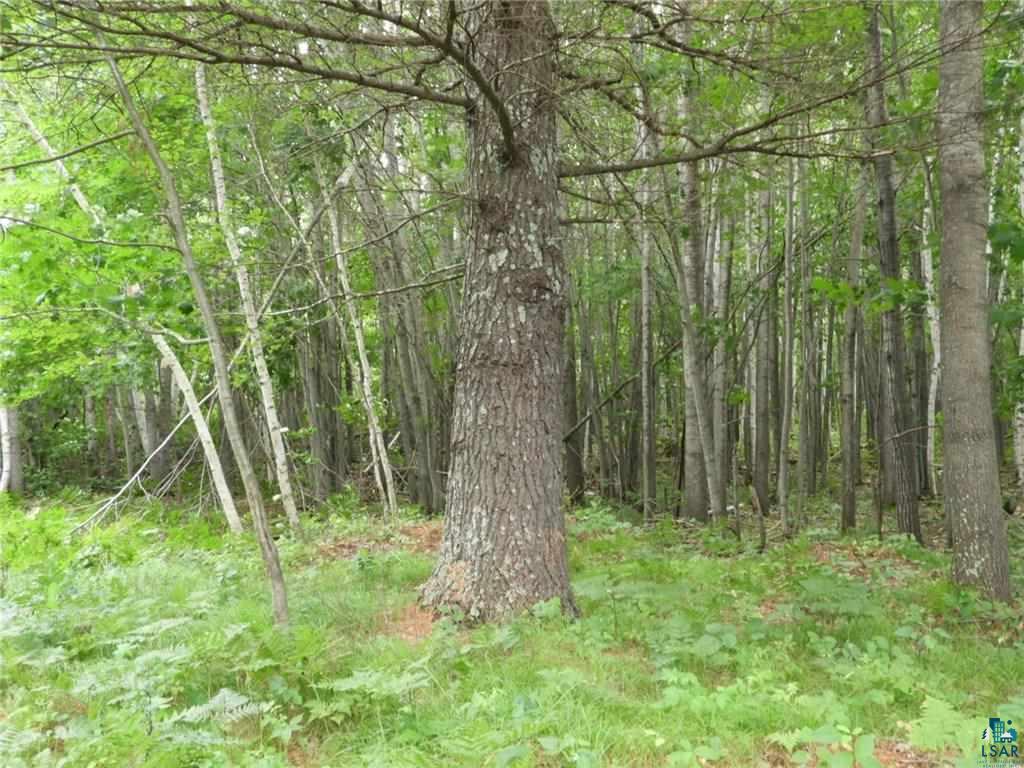 0 Phantom Lake Road Iron River, WI 54847 - Photo 4 of 5