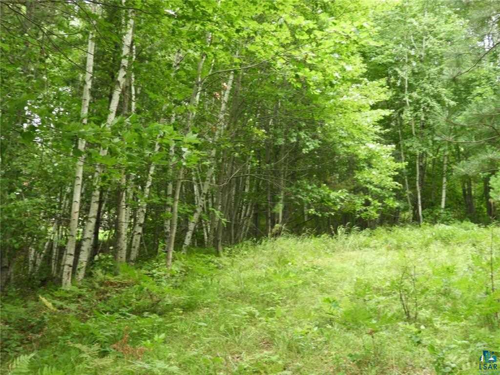 0 Phantom Lake Road Iron River, WI 54847 - Photo 5 of 5