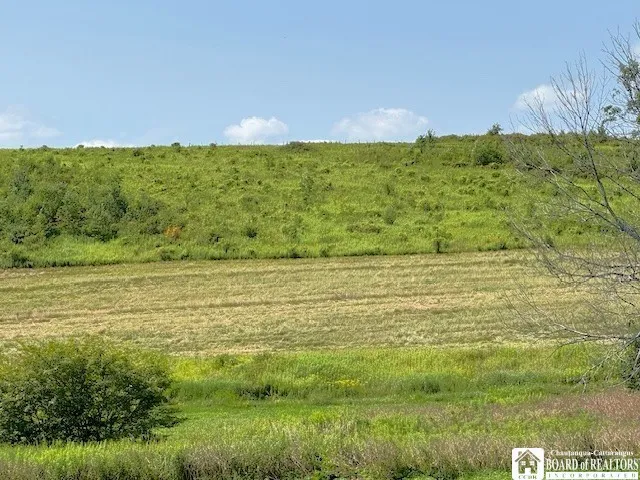 $119,000 | 2093 Edson Road, Gerry, NY 14782