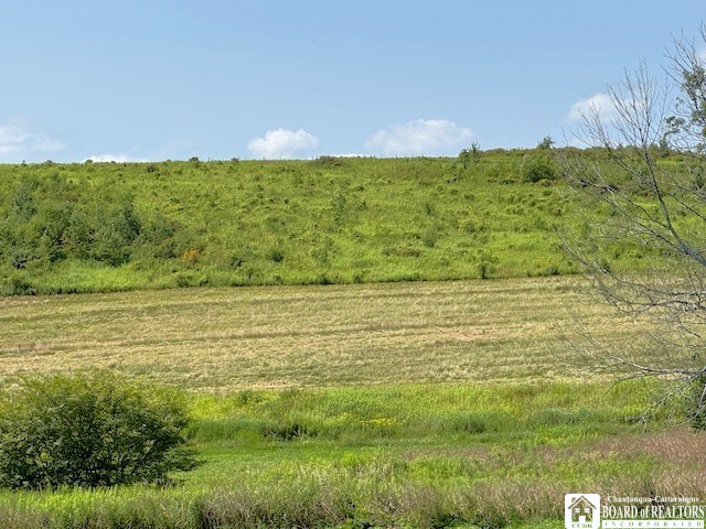 2093 Edson Road Gerry, NY 14782 - Photo 4 of 22
