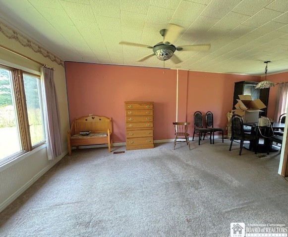 2093 Edson Road Gerry, NY 14782 - Photo 9 of 22